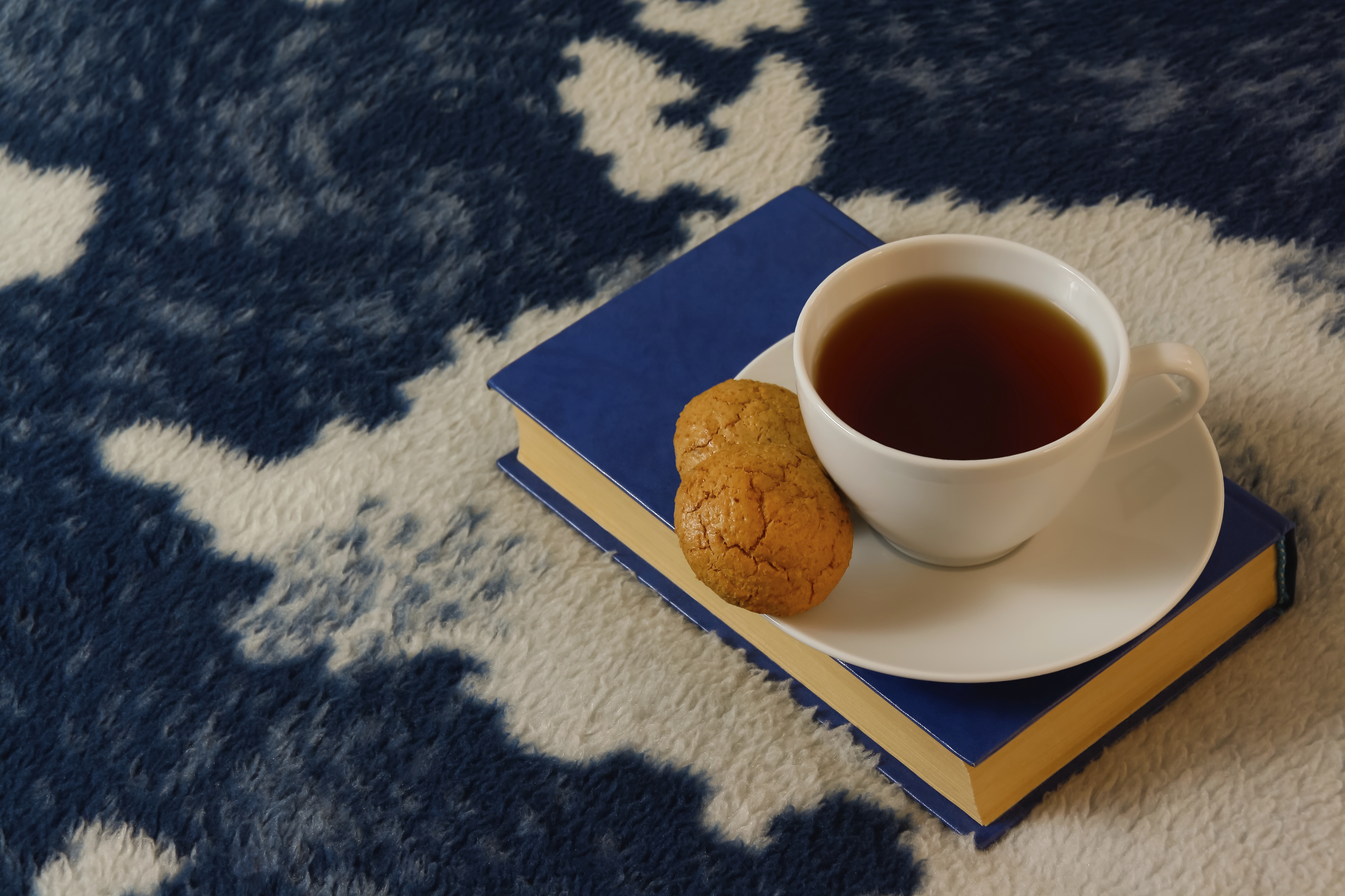 Cup of tea with biscuits and book on the blanket