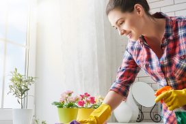 1080x1080_spring_cleaning_3 1080x1080_spring_cleaning_3