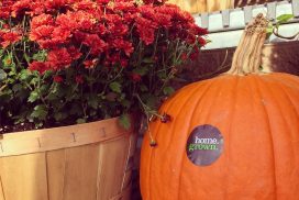 home.grown. Pumpkins-Mums