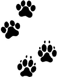 Dog paw prints
