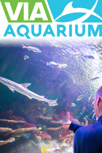 VIA aquarium_200x300