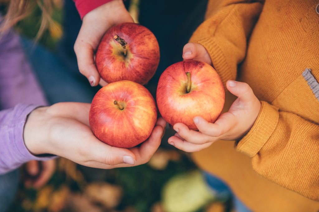 The Red Delicious Apple Grown at Apple Holler