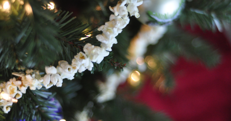 popcorn-string-on-tree