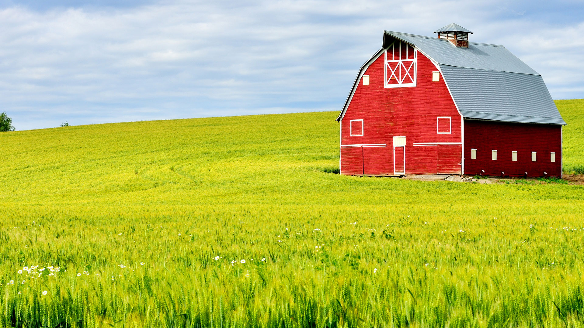 Dairy Delivers Sustainable Nutrition Price Chopper Market 32