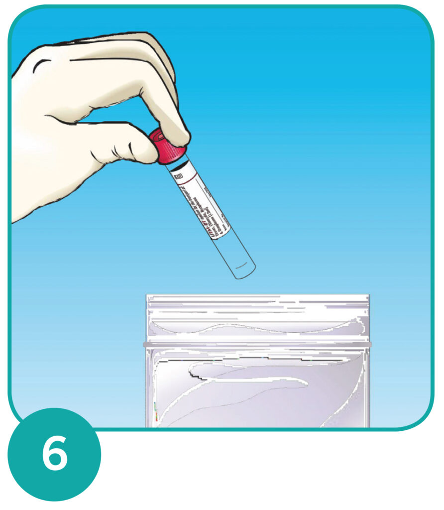 Step 6. Place test in bag.