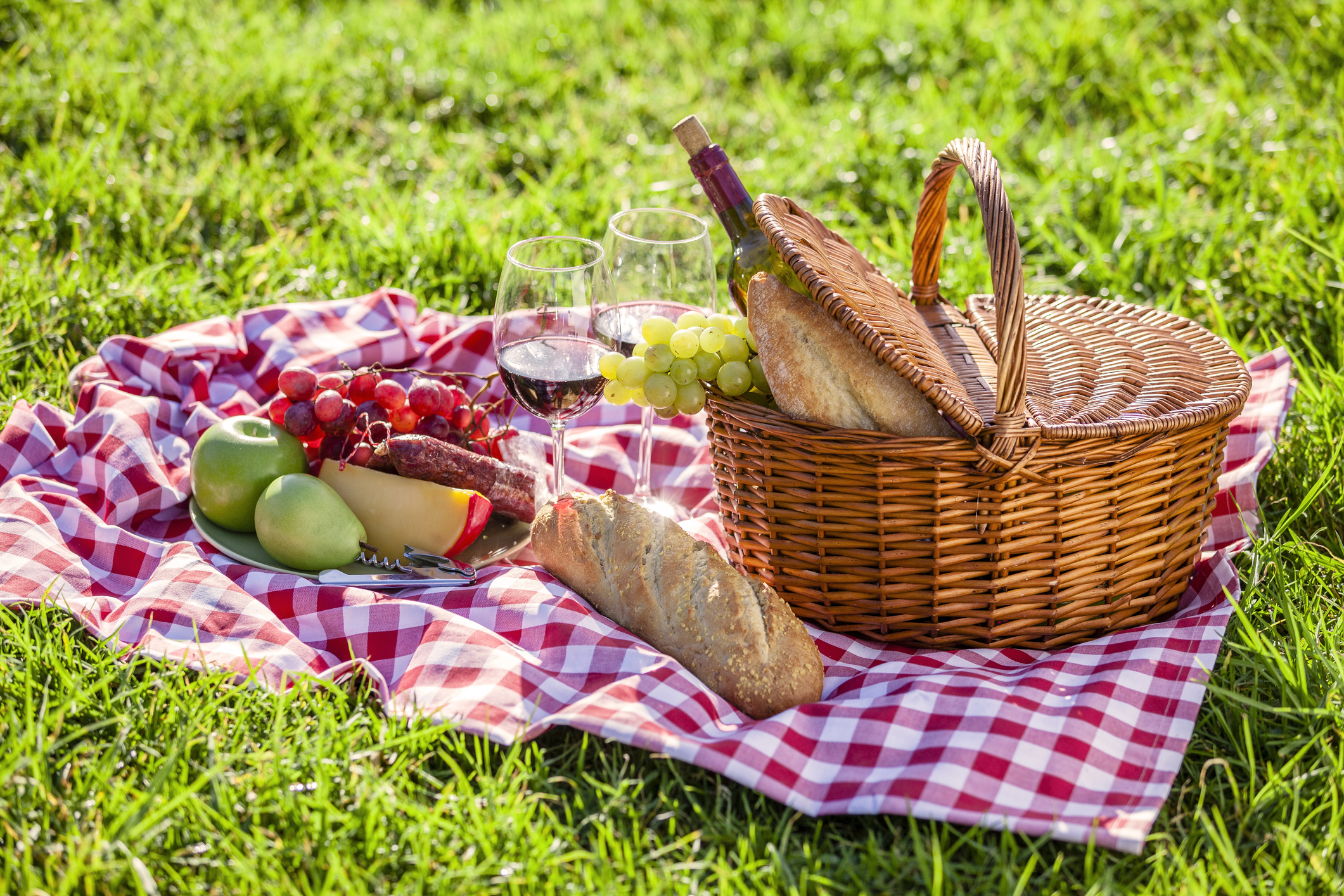Three quarters front view of a picnic basket shot on a checkered tablecloth on grass outdoors. Predominant colors are brown, red and green. The basket is filled with bread, cheese, grapes, and salami. Out of the basket are some fruits and a bottle and wineglass. High key DSRL outdoors photo taken with Canon EOS 5D Mk II and Canon EF 100mm f/2.8L Macro IS USM.