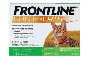 Front line cat