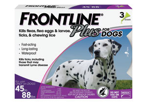 Front line dog