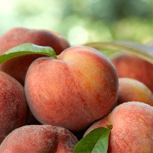 Southern Peach