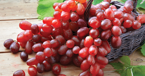 grapes blog header