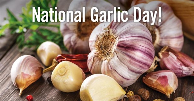 national garlic day fb