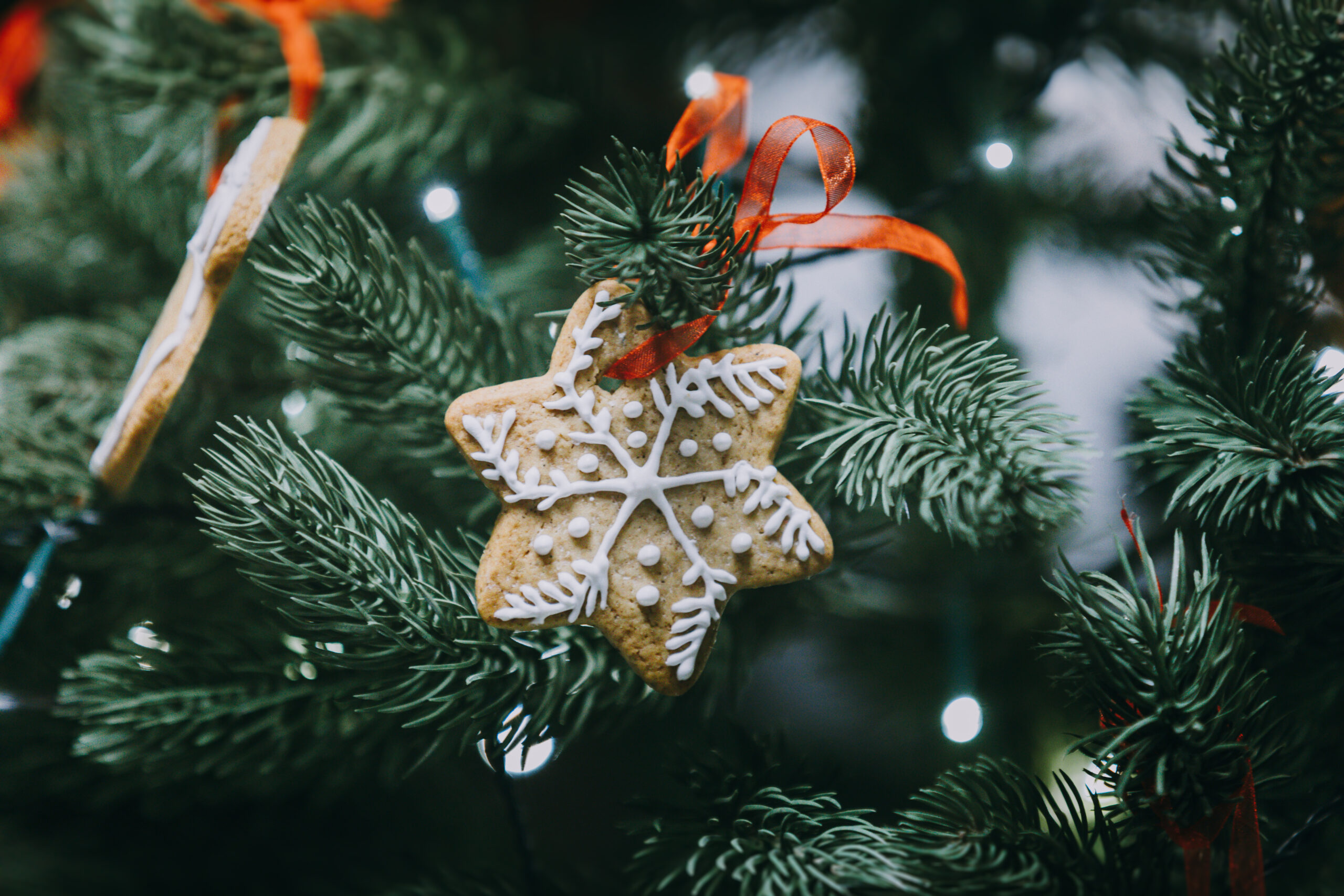 Detail of round homemade snowflake shape ginger bread cookies hanging on decorated Christmas tree