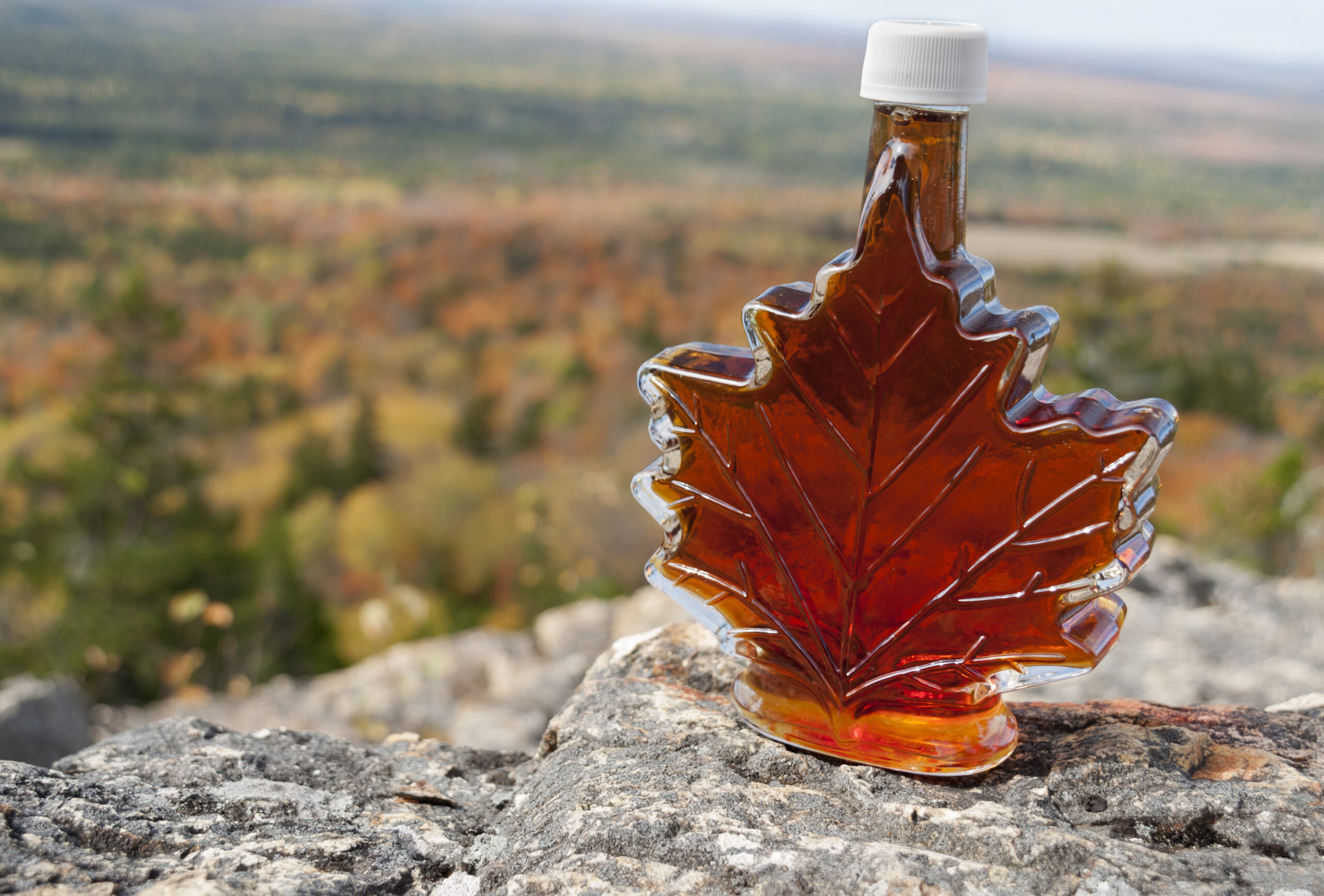 Полезные свойства кленового сока. Кленовый сироп Maple Syrup. Канада Maple Syrup. Кленовый сироп Канада. Кленовый сироп из Канады.