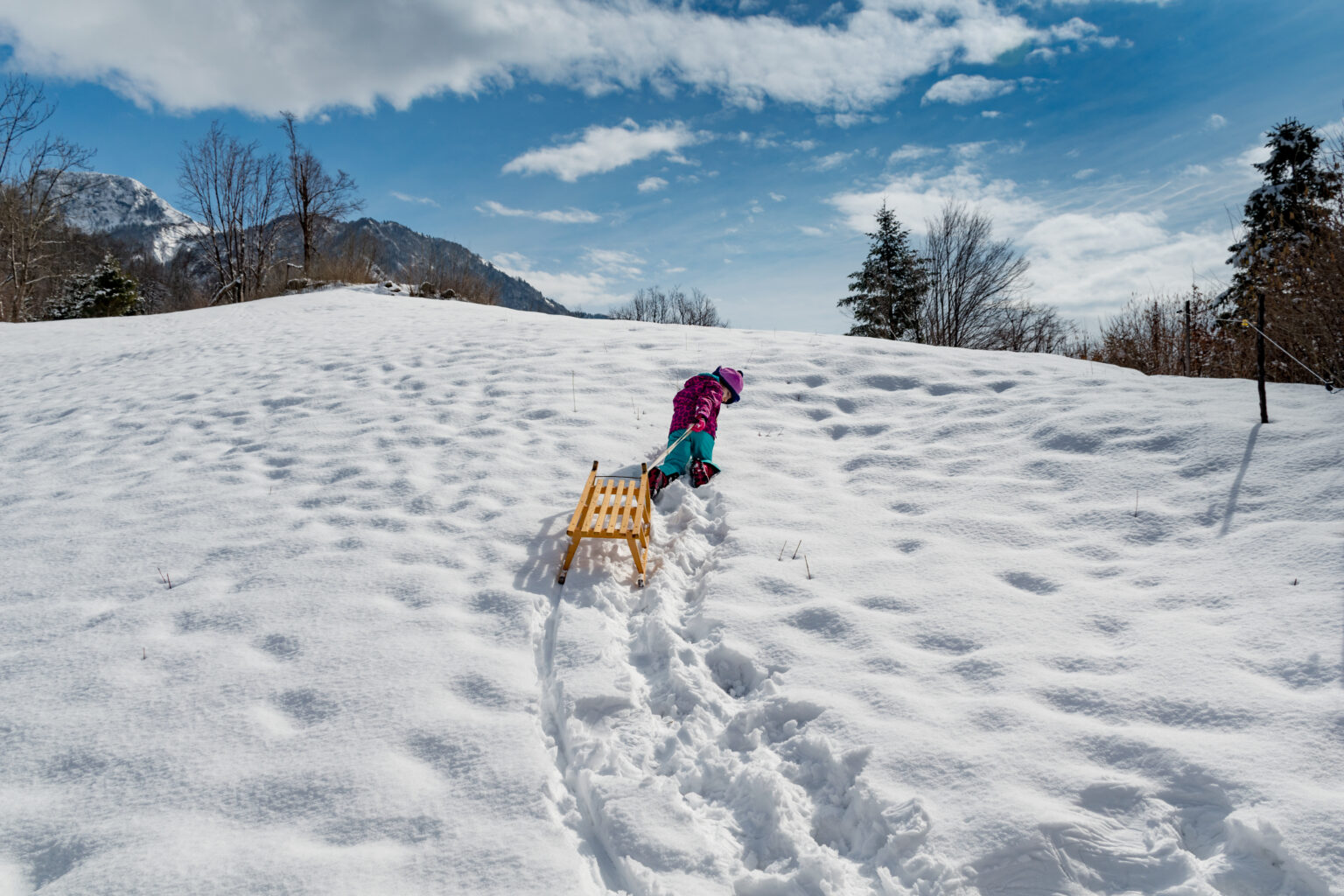 Young Girl Pulling Sled Behind Her on Snow Covered Slope.