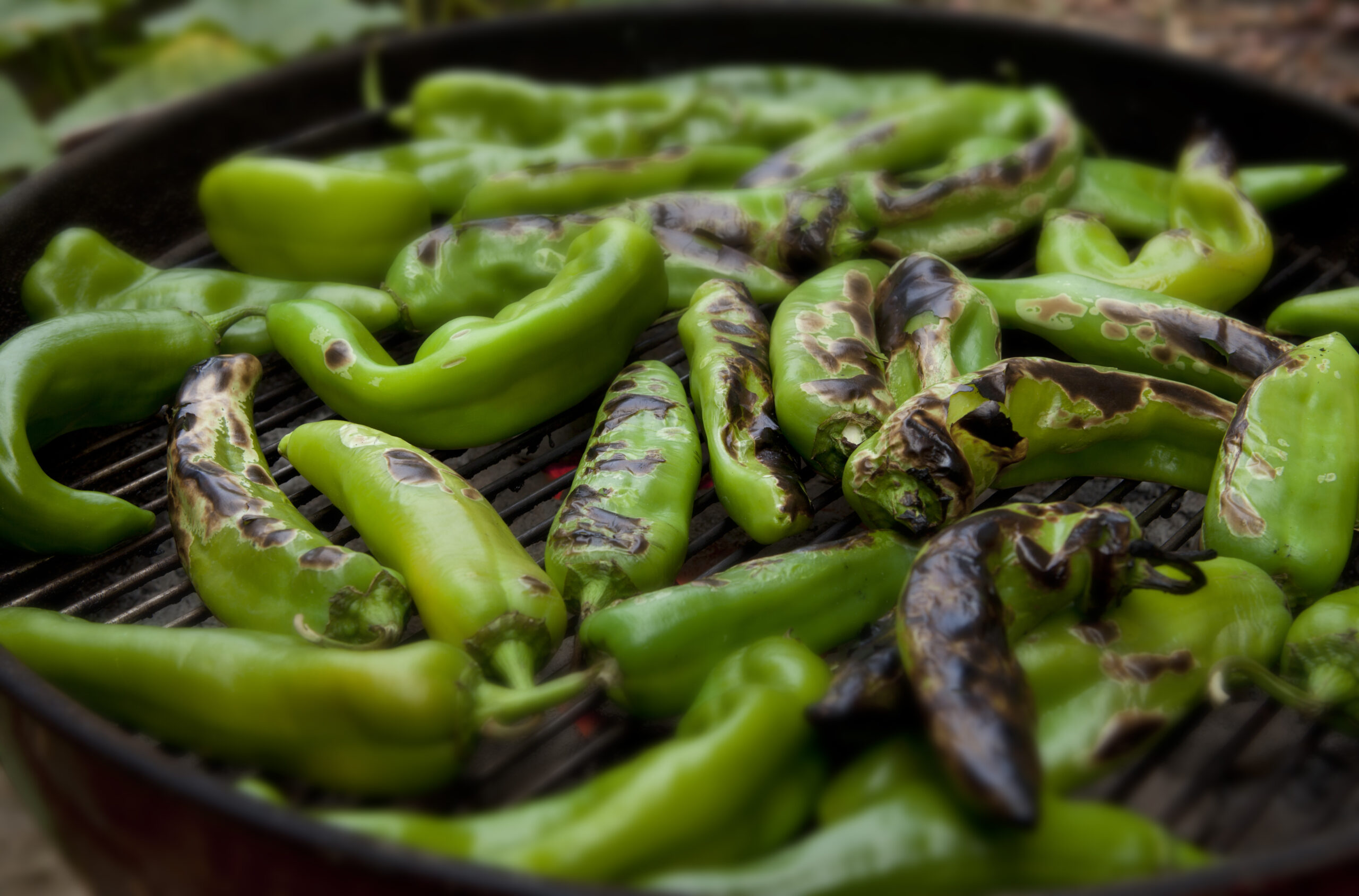 Hatch Chiles roasting over a fire "Once a year, the supermarkets are flooded with Hatch Chile Peppers. Once roasted this spicy vegetable makes beautiful soups and stews."